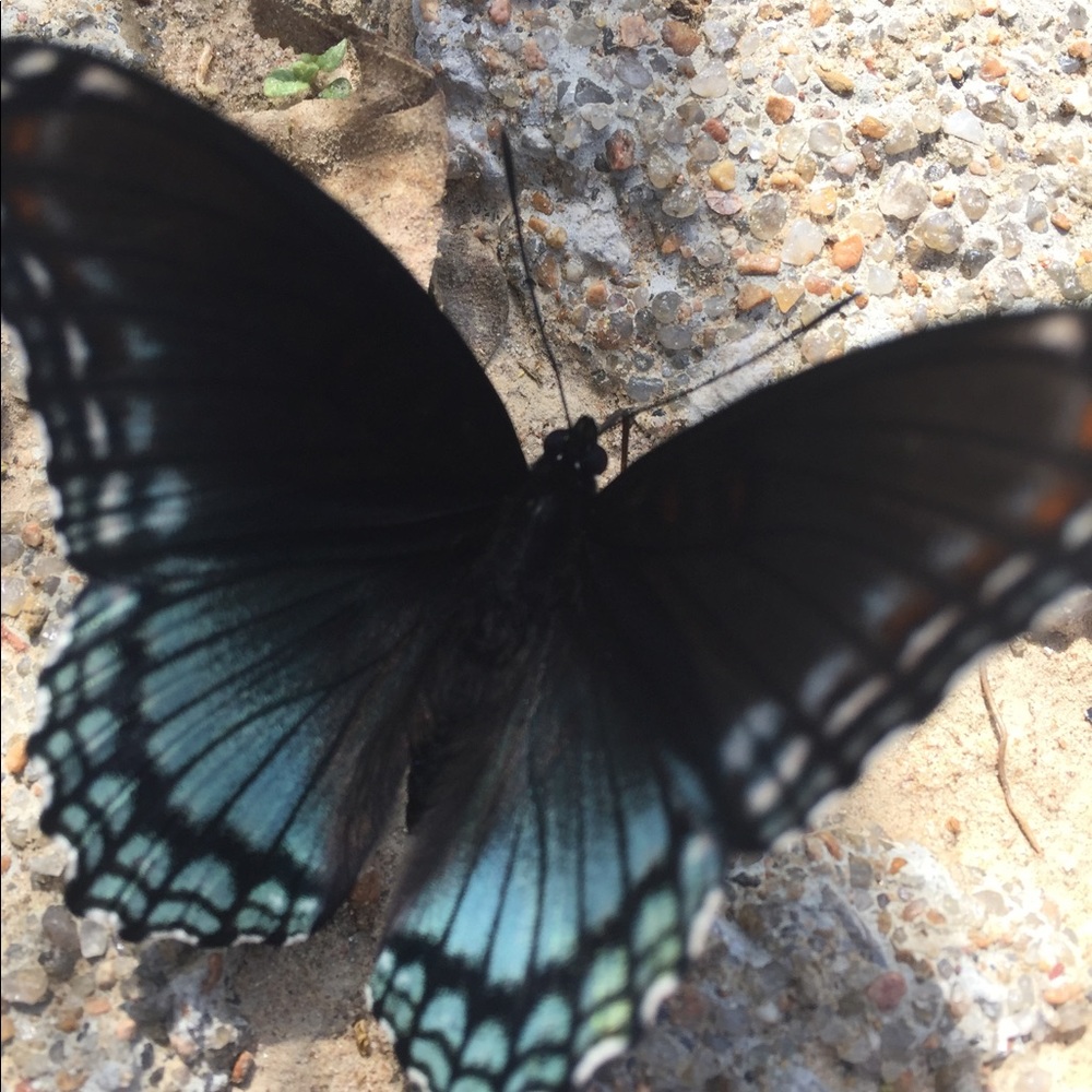 Meet your Posher, Kimberly